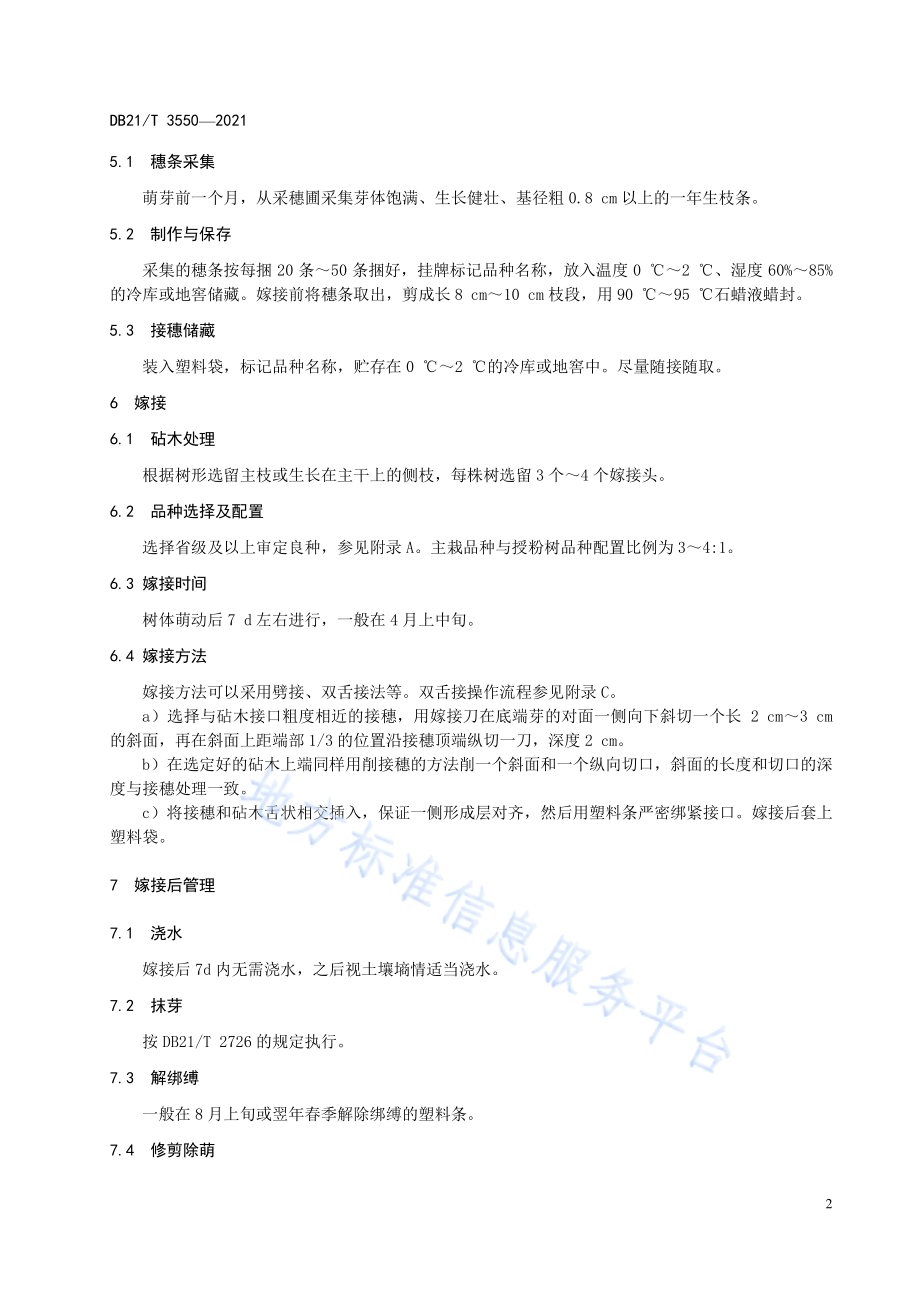 平欧杂种榛低产园嫁接改造技术规程DB21／T 3550-2021.pdf_第5页