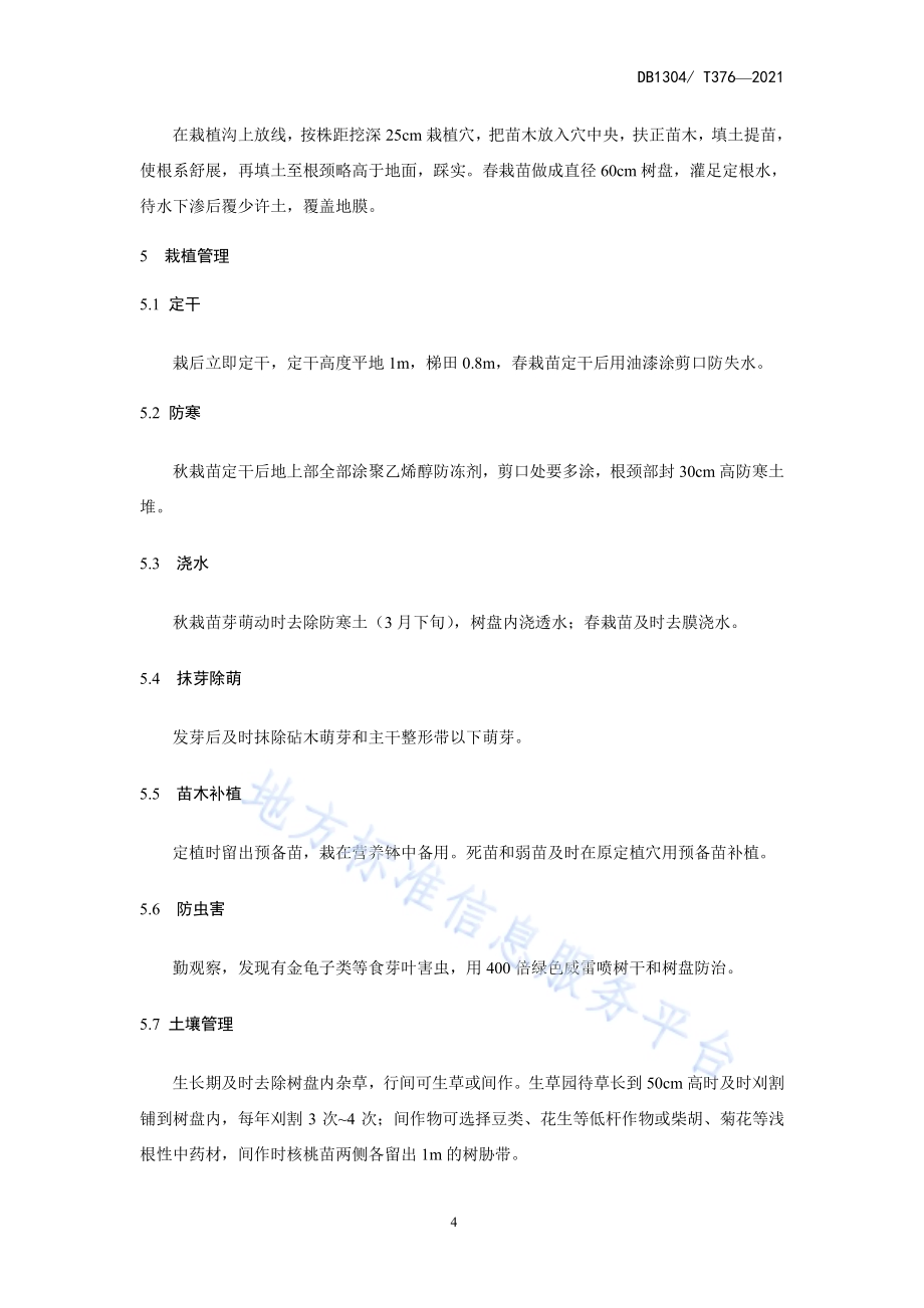 辽宁1号核桃宽行密植园栽培技术规程DB1304／T376-2021.pdf_第5页