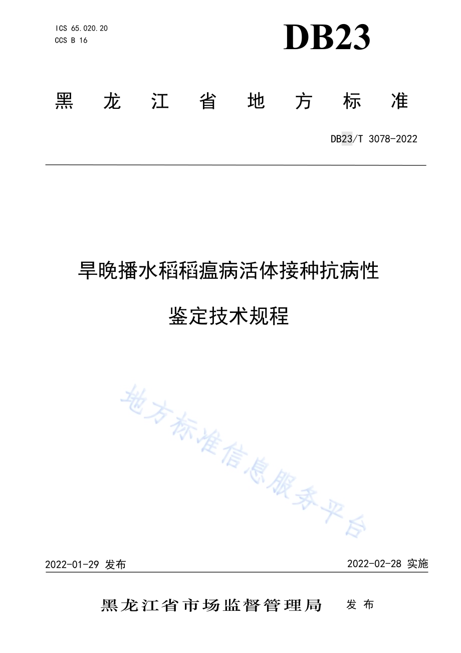旱晚播水稻稻瘟病活体接种抗病性鉴定技术规程DB23／T 3078—2022.pdf_第1页