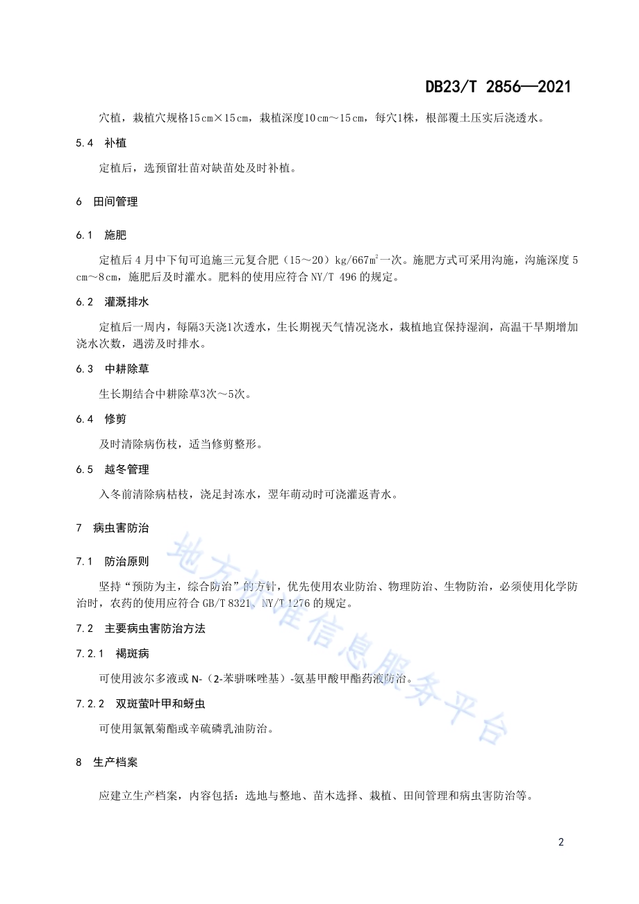 金焰绣线菊栽培技术规程DB23／T 2856—2021.pdf_第4页