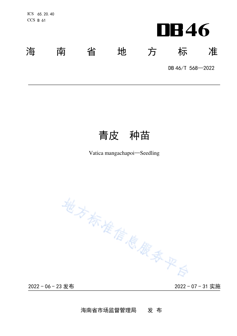 青皮种苗DB46／T 568-2022.pdf_第1页