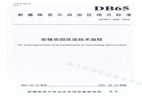 密植杏园改造技术规程DB65／T 4222-2019.pdf