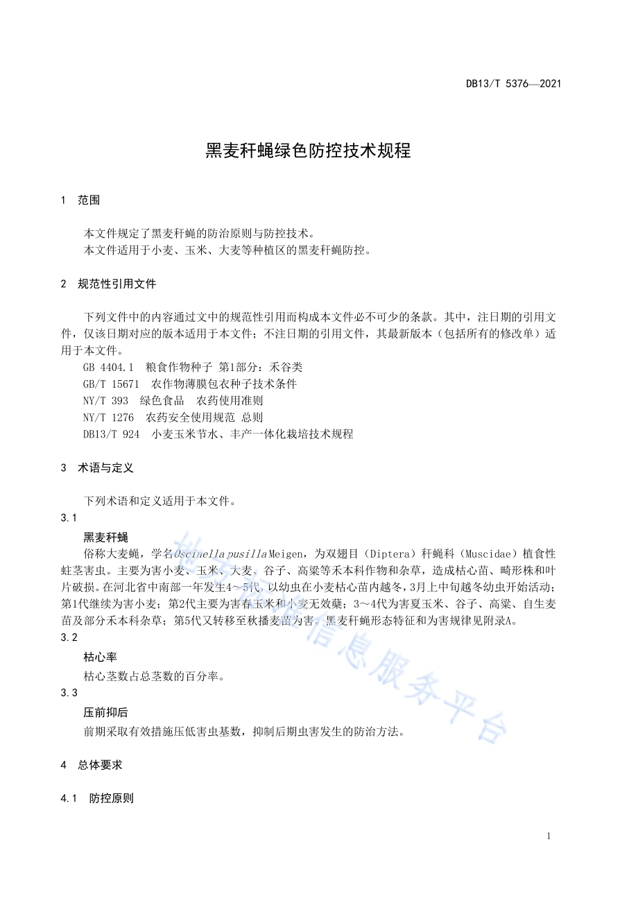 黑麦秆蝇绿色防控技术规程DB13／T 5376-2021.pdf_第5页