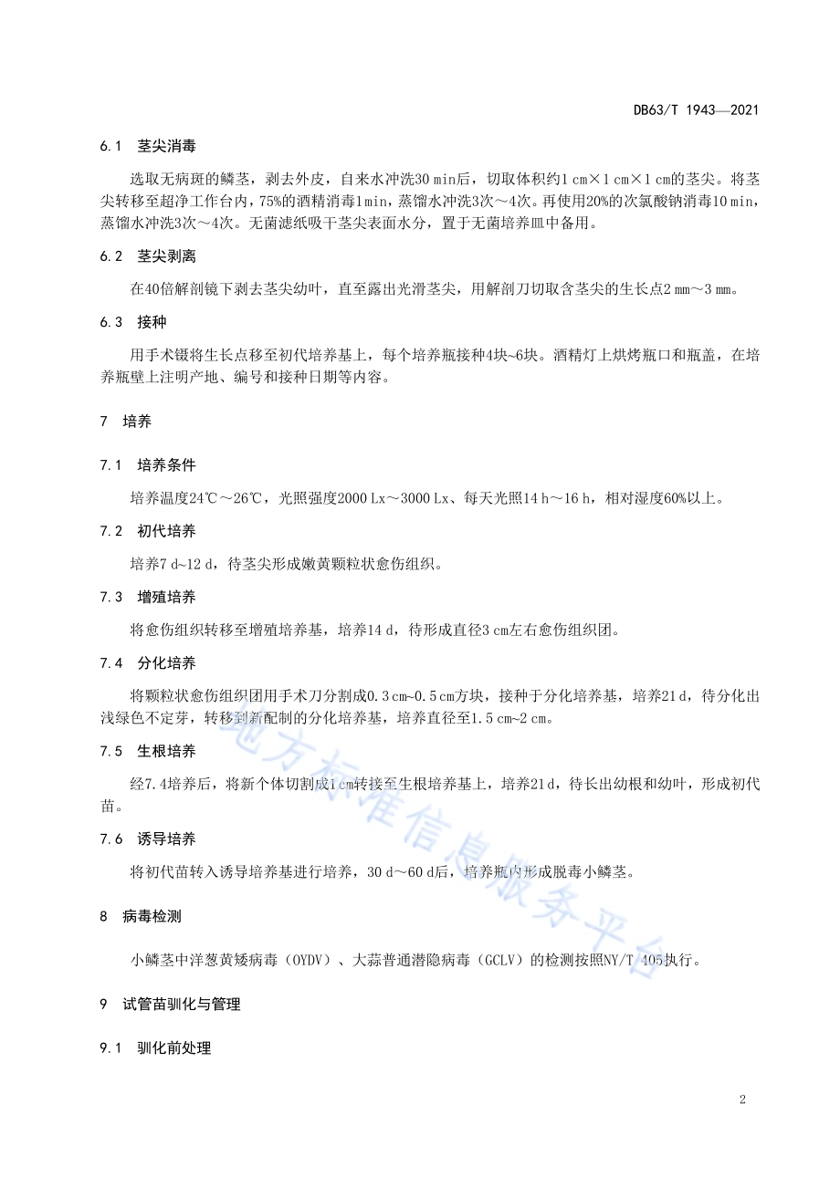 乐都紫皮大蒜脱毒繁育技术规范DB63／T 1943-2021.pdf_第4页
