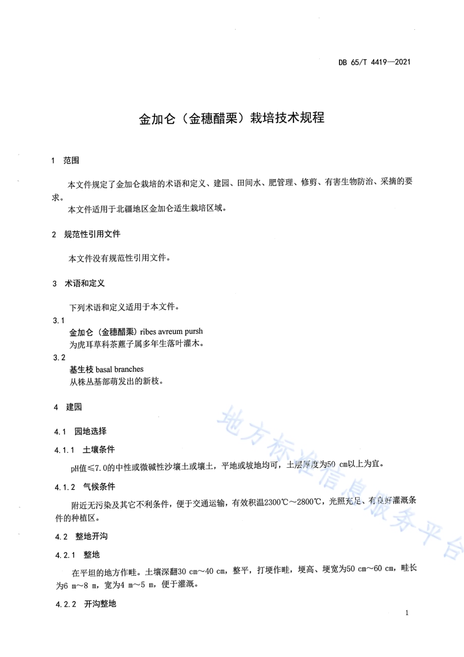 金加仑（金穂醋栗）栽培技术规程DB65／T 4419-2021.pdf_第5页