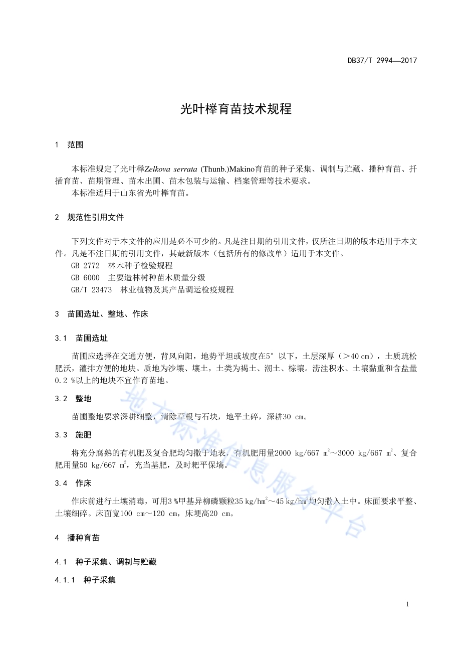 光叶榉育苗技术规程DB37／T 2994-2017.pdf_第3页