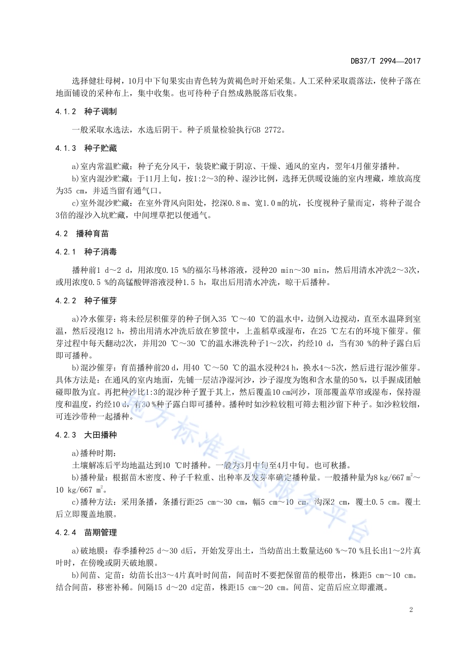 光叶榉育苗技术规程DB37／T 2994-2017.pdf_第4页