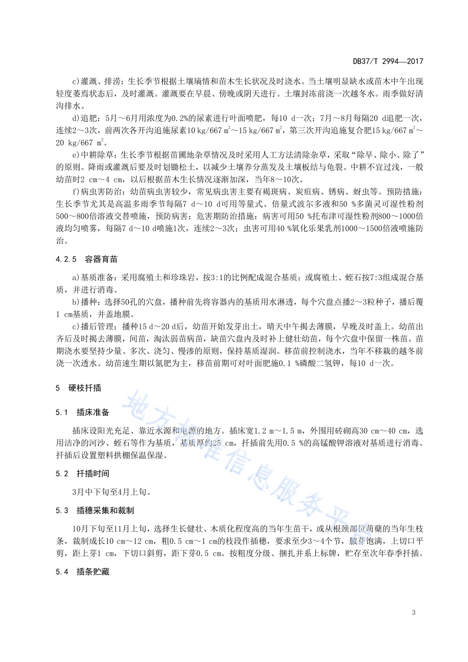 光叶榉育苗技术规程DB37／T 2994-2017.pdf_第5页