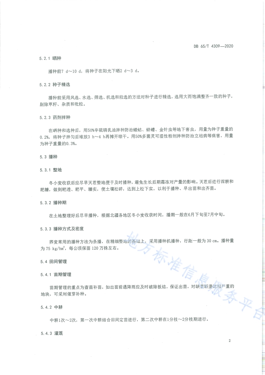 麦茬复播甜荞高产栽培技术规程DB65／T 4309-2020.pdf_第4页