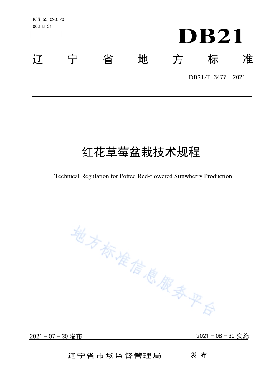 红花草莓盆栽技术规程DB21／T 3477—2021.pdf_第1页