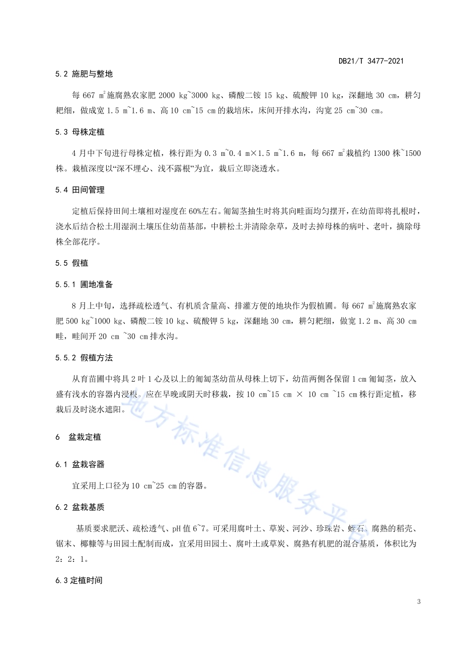 红花草莓盆栽技术规程DB21／T 3477—2021.pdf_第5页