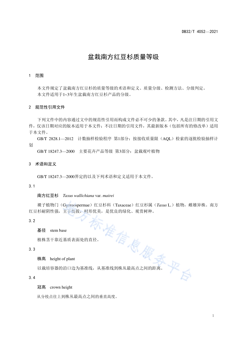 盆栽南方红豆杉质量等级DB32／T 4052-2021.pdf_第3页