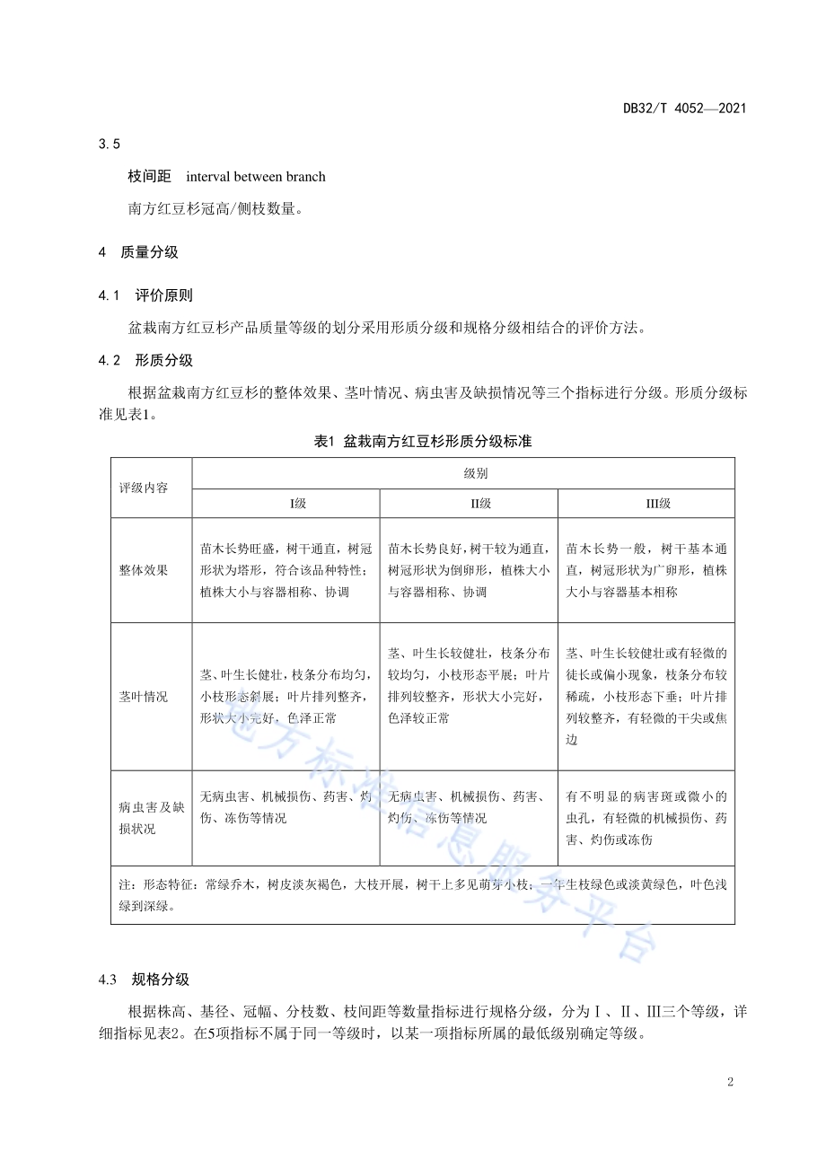 盆栽南方红豆杉质量等级DB32／T 4052-2021.pdf_第4页