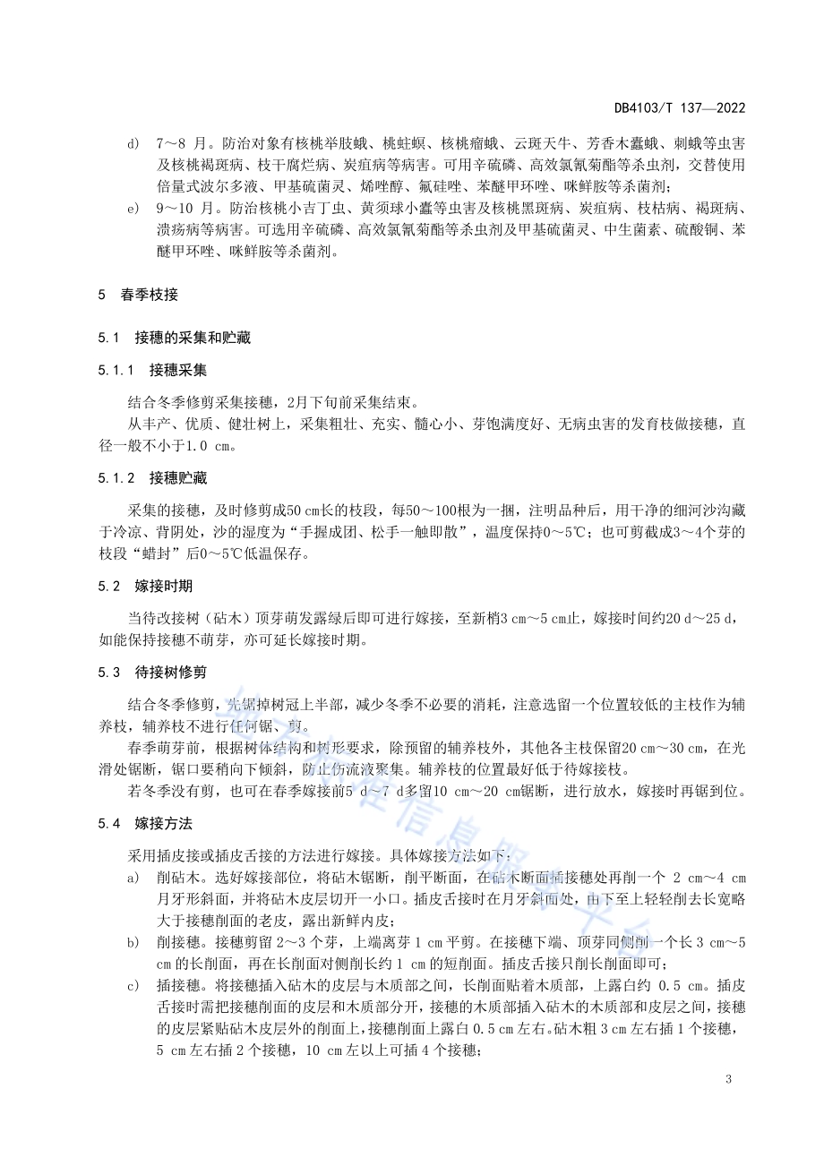核桃大树多头改接技术规程DB4103／T137-2022.pdf_第5页