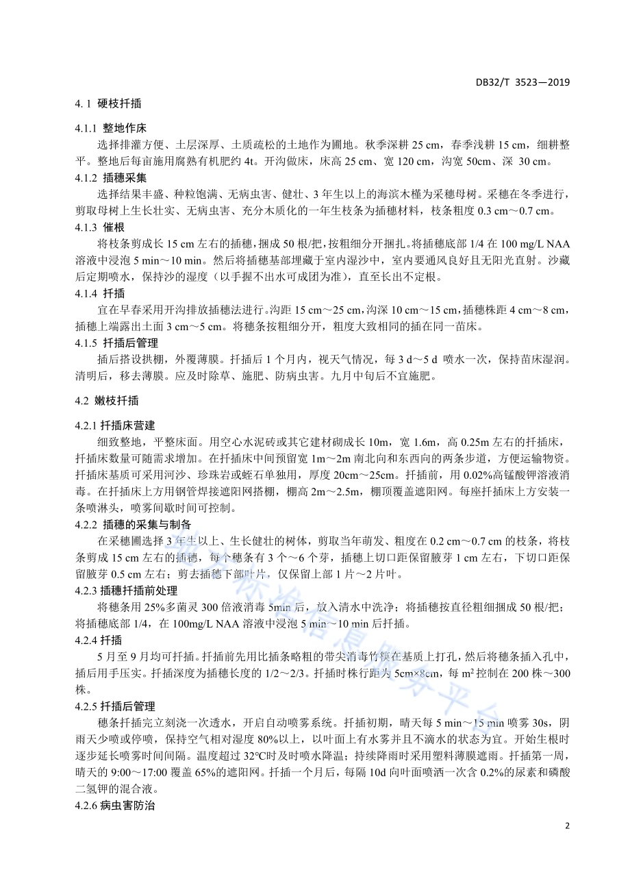 海滨木槿育苗技术规程DB32／T 3523-2019.pdf_第4页