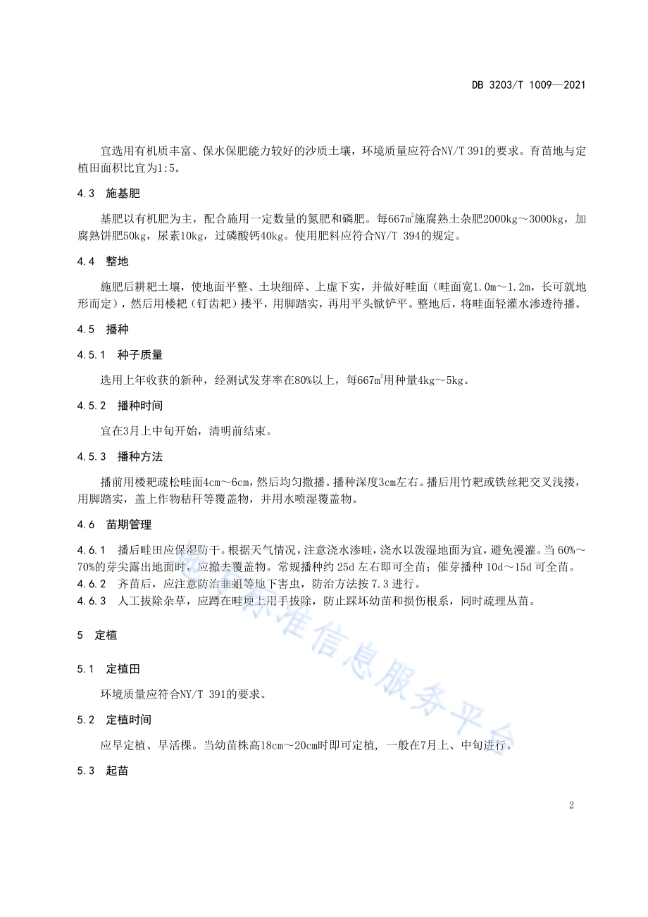 窖栽韭黄生产技术规程DB 3203／T 1009—2021.pdf_第5页
