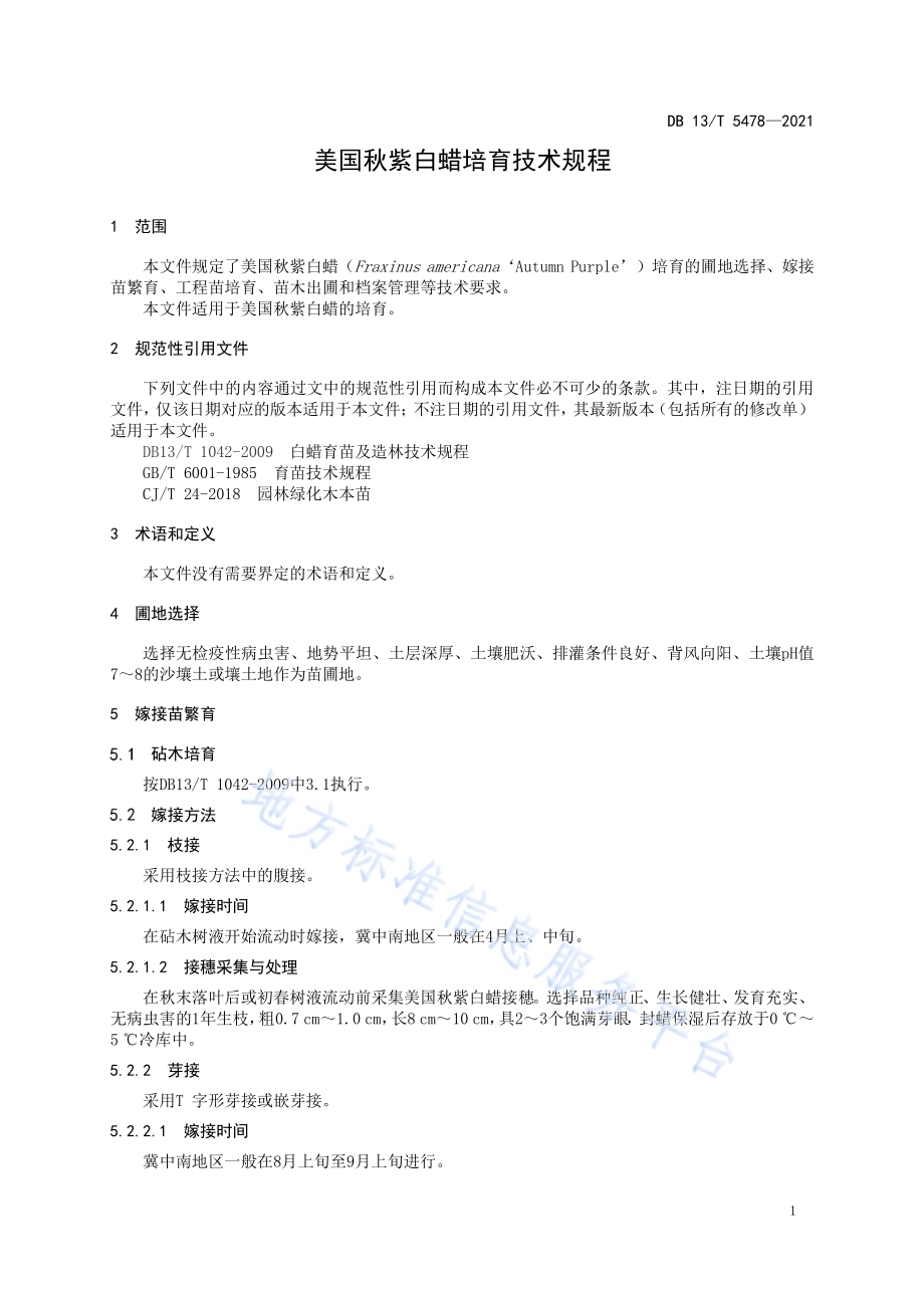 美国秋紫白蜡培育技术规程DB13／T 5478-2021.pdf_第5页
