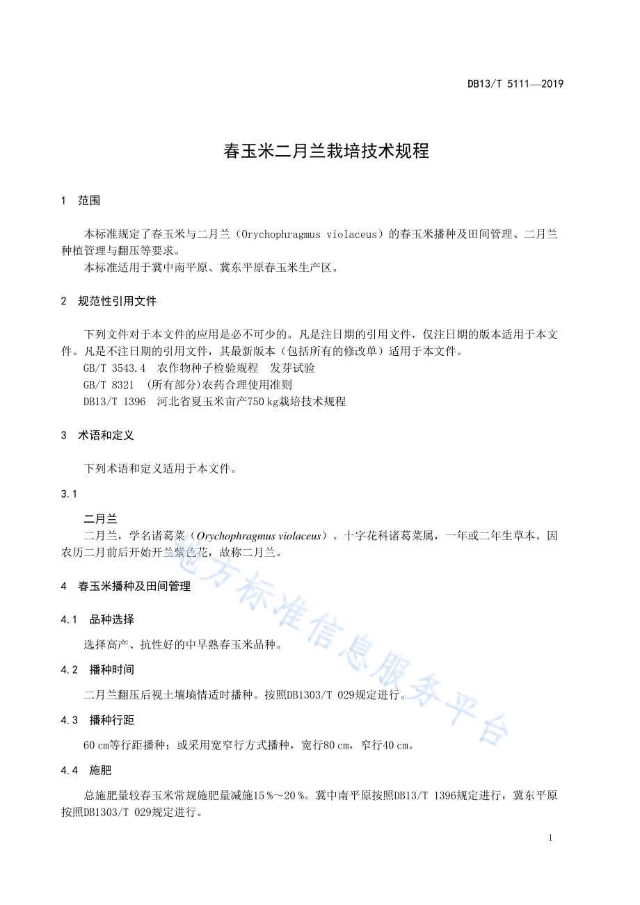 春玉米二月兰栽培技术规程DB13／T 5111-2019.pdf_第5页