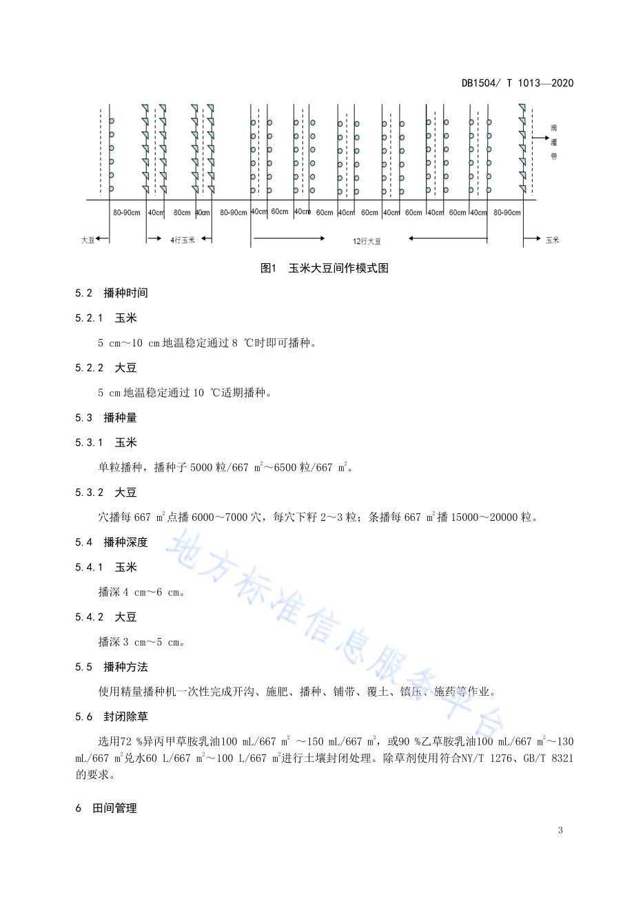 燕山丘陵区玉米与大豆间作栽培技术规程DB 1504／T1013-2020.pdf_第5页