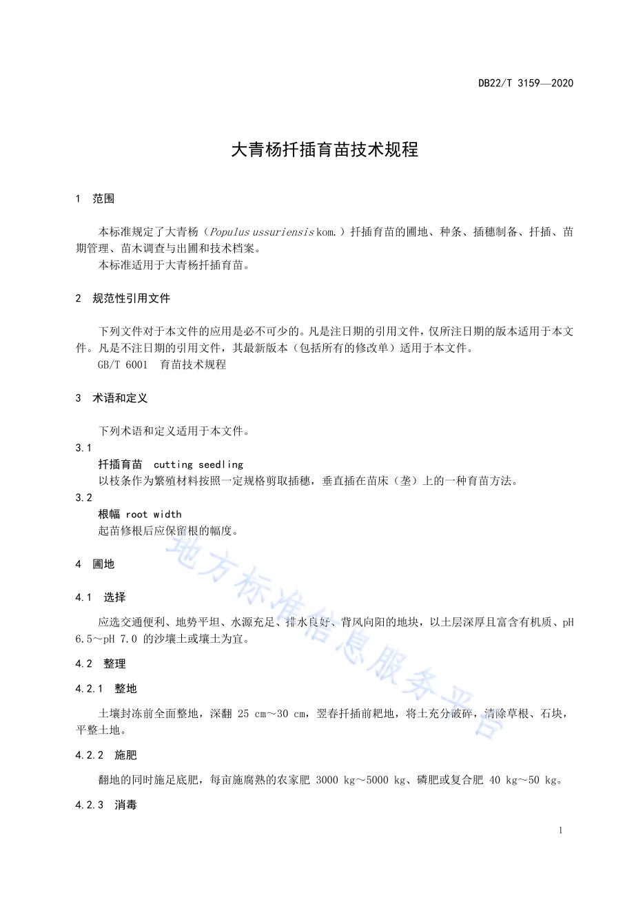 大青杨扦插育苗技术规程DB22／T 3159-2020.pdf_第5页