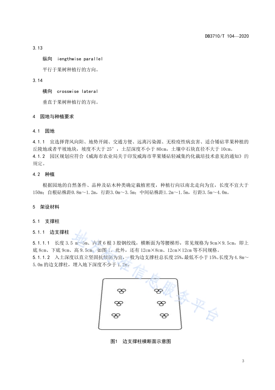 现代苹果园支架支撑系统架设技术规范DB3710／T 104-2020.pdf_第5页