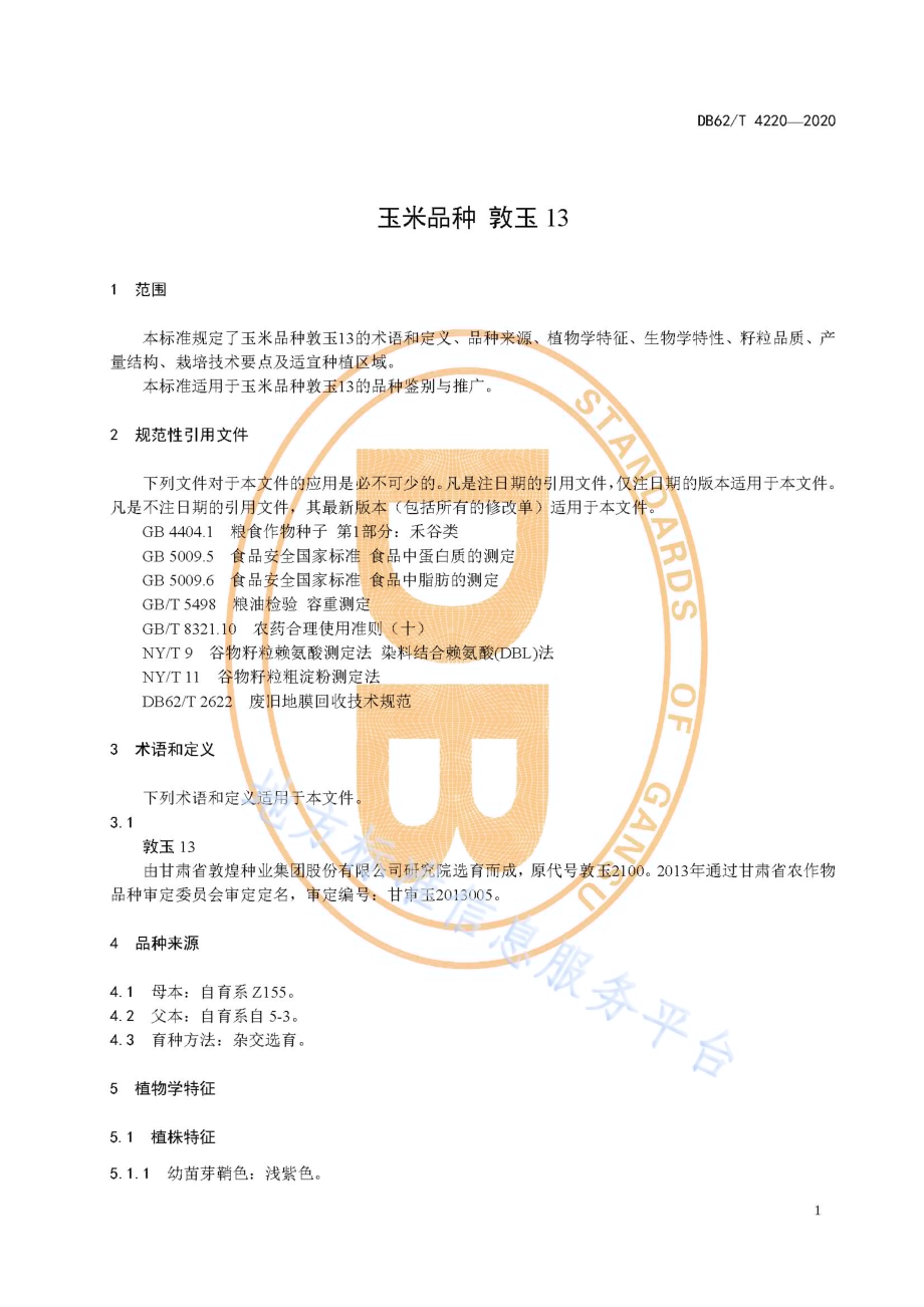 玉米品种 敦玉13DB62／T 4220-2020.pdf_第5页