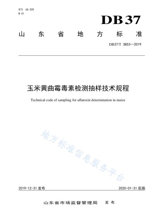 玉米黄曲霉毒素检测抽样技术规程DB37／T 3853—2019.pdf