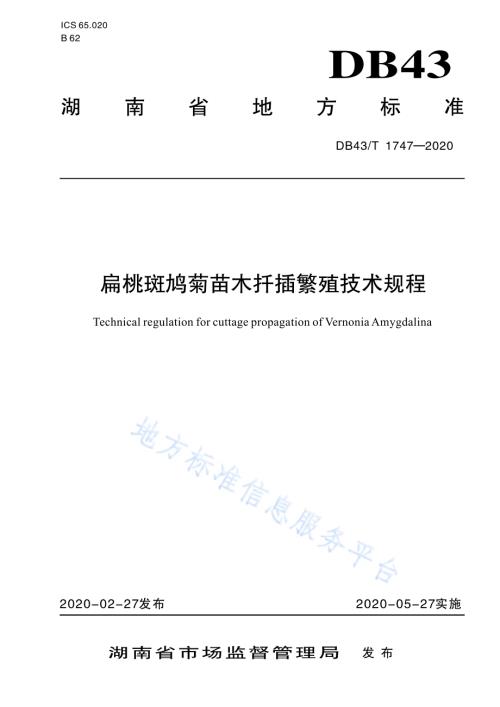 扁桃斑鸠菊苗木扦插繁殖技术规程DB43／T 1747-2020.pdf