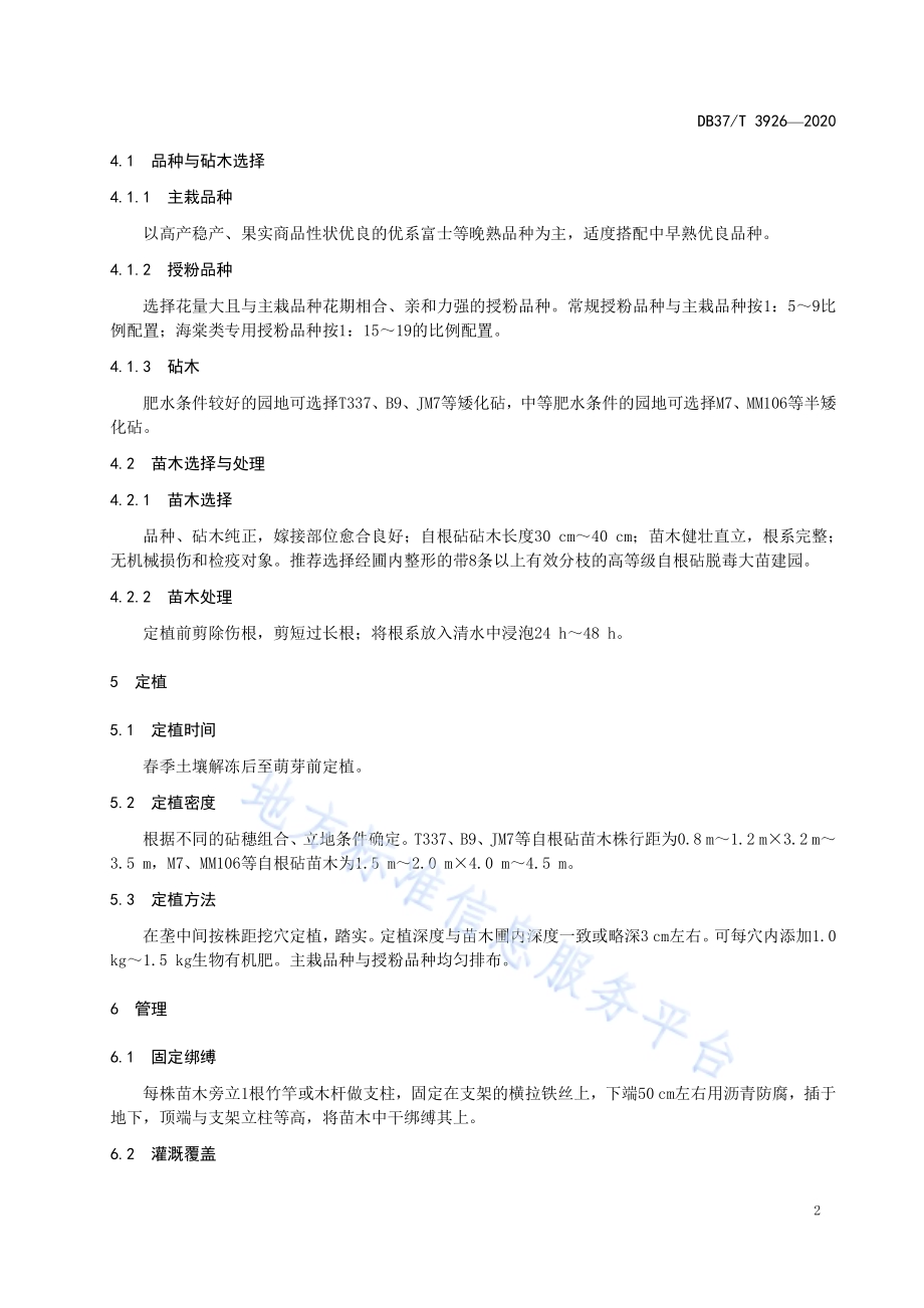 矮化自根砧苹果建园技术规程DB37／T 3926—2020.pdf_第5页