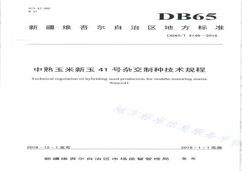 中熟玉米新玉41 号杂交制种技术规程DB65／T 4146-2018.pdf