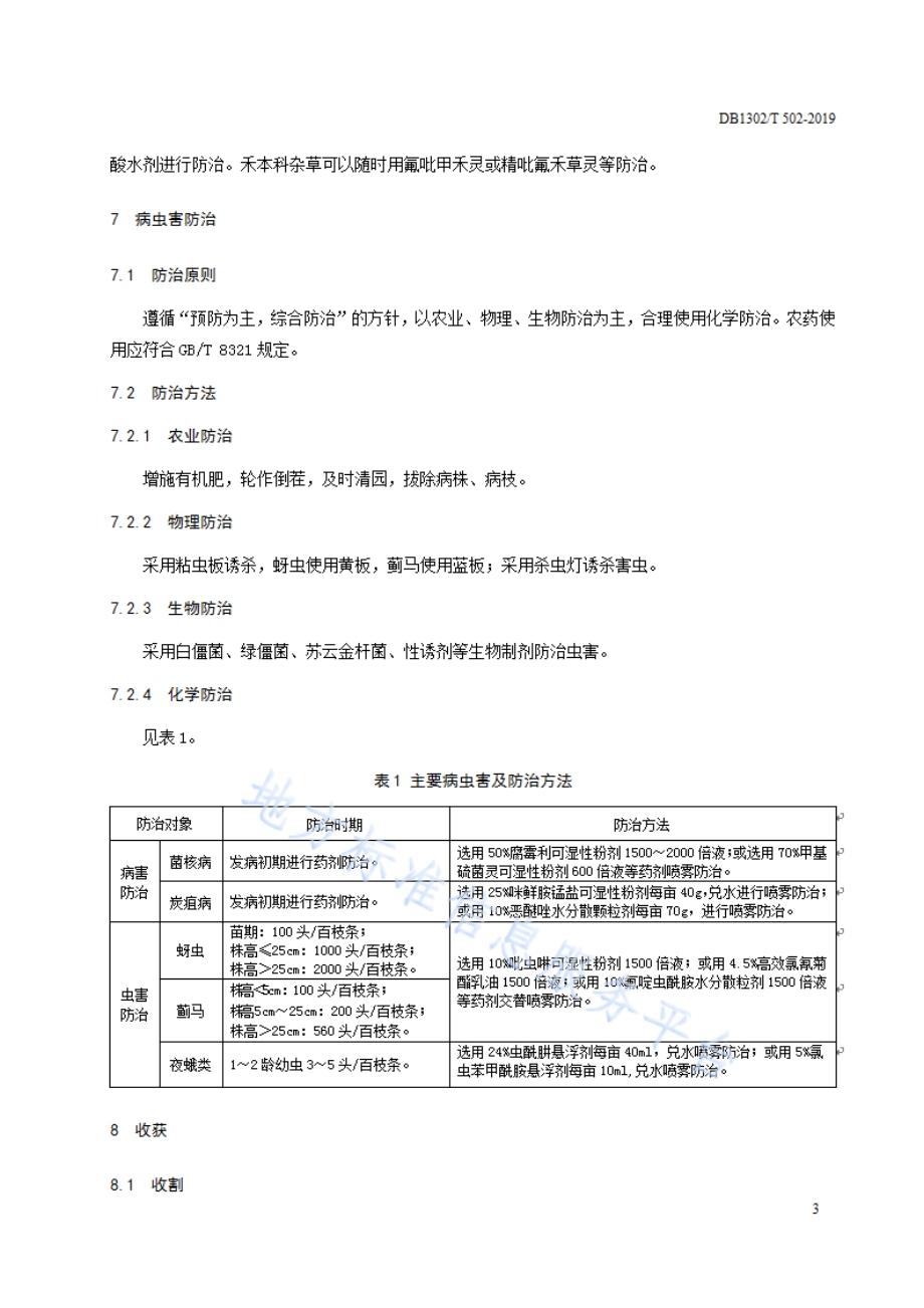 紫花苜蓿生产技术规程DB1302／T 502-2019.pdf_第5页