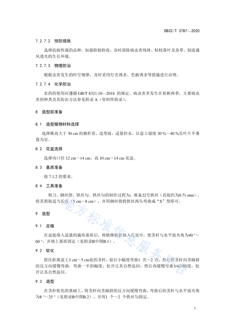 微型悬崖杜鹃本桩造型生产技术规程DB32／T 3787-2020.pdf_第5页