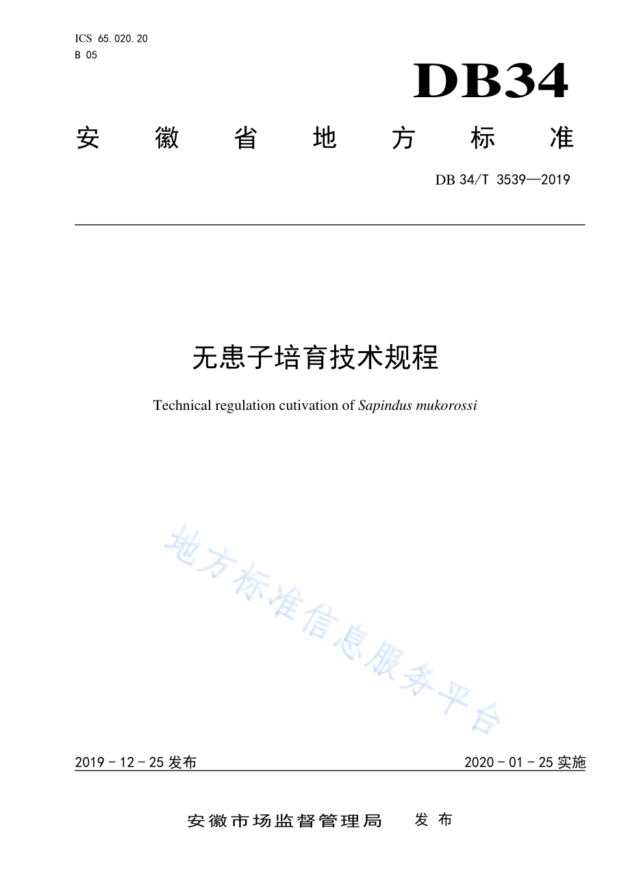 无患子培育技术规程DB34／T 3539-2019.pdf_第1页