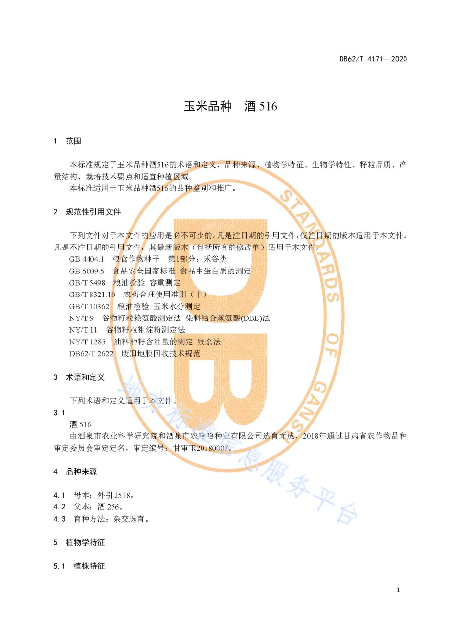 玉米品种 酒516DB62／T 4171-2020.pdf_第5页