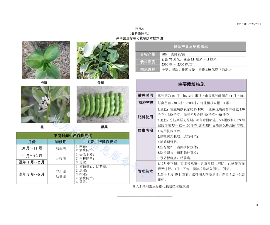 菜用蚕豆栽培技术规程DB3311／T 78─2018.pdf_第5页