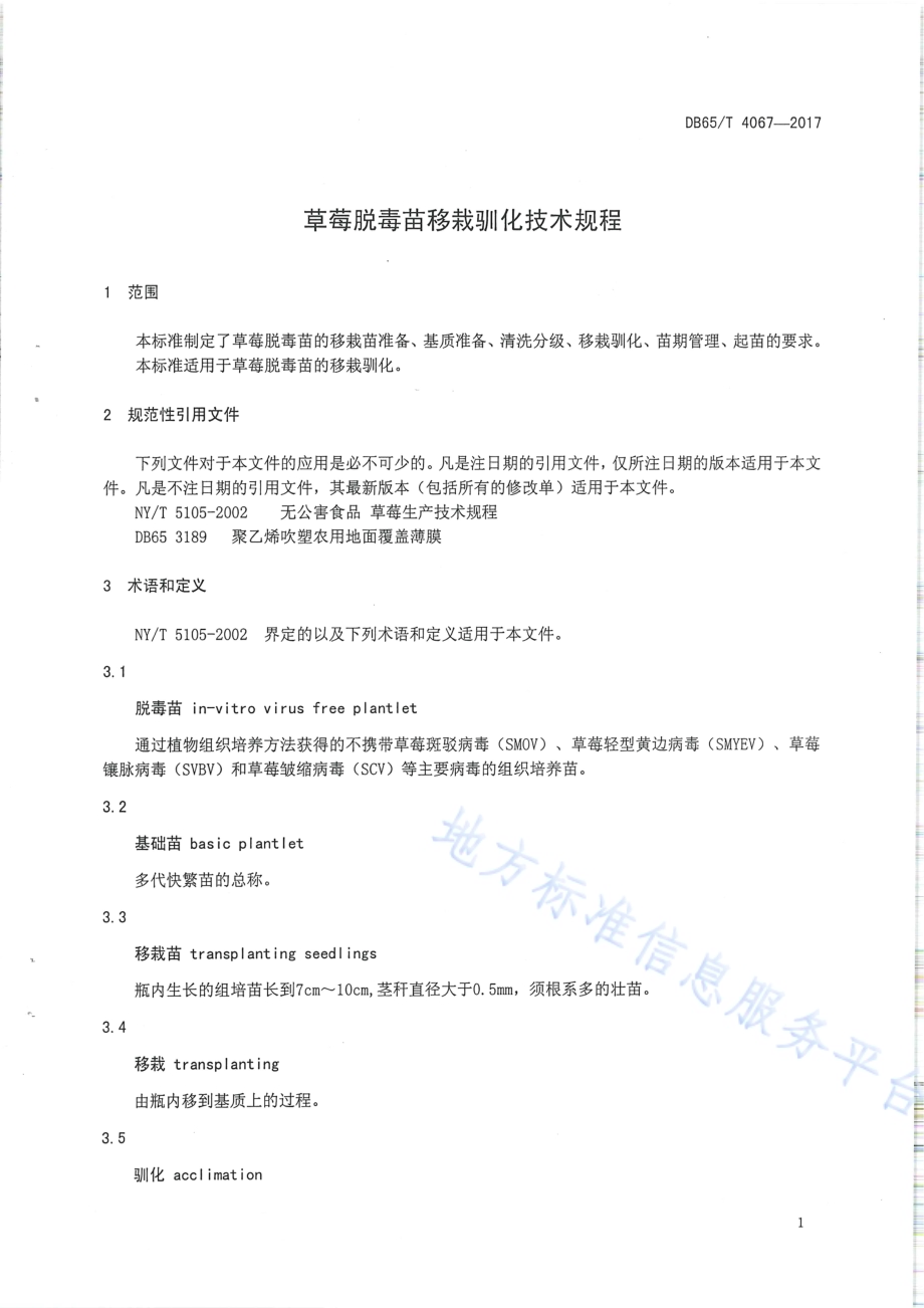草莓脱毒苗移栽驯化技术规程DB65／T 4067-2017.pdf_第4页