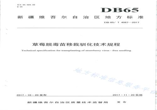 草莓脱毒苗移栽驯化技术规程DB65／T 4067-2017.pdf