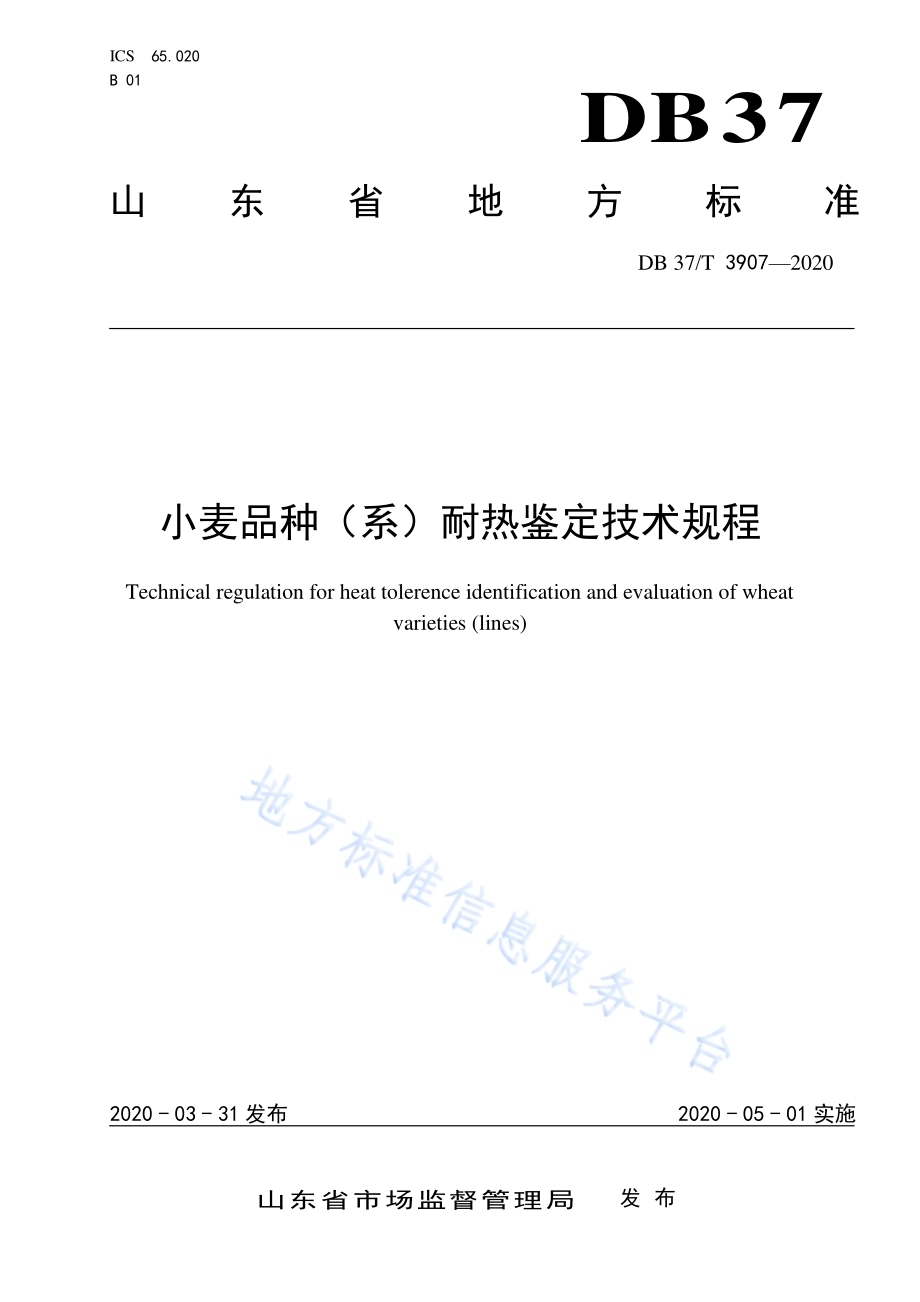 小麦品种（系）耐热鉴定技术规程DB37／T 3907—2020.pdf_第1页
