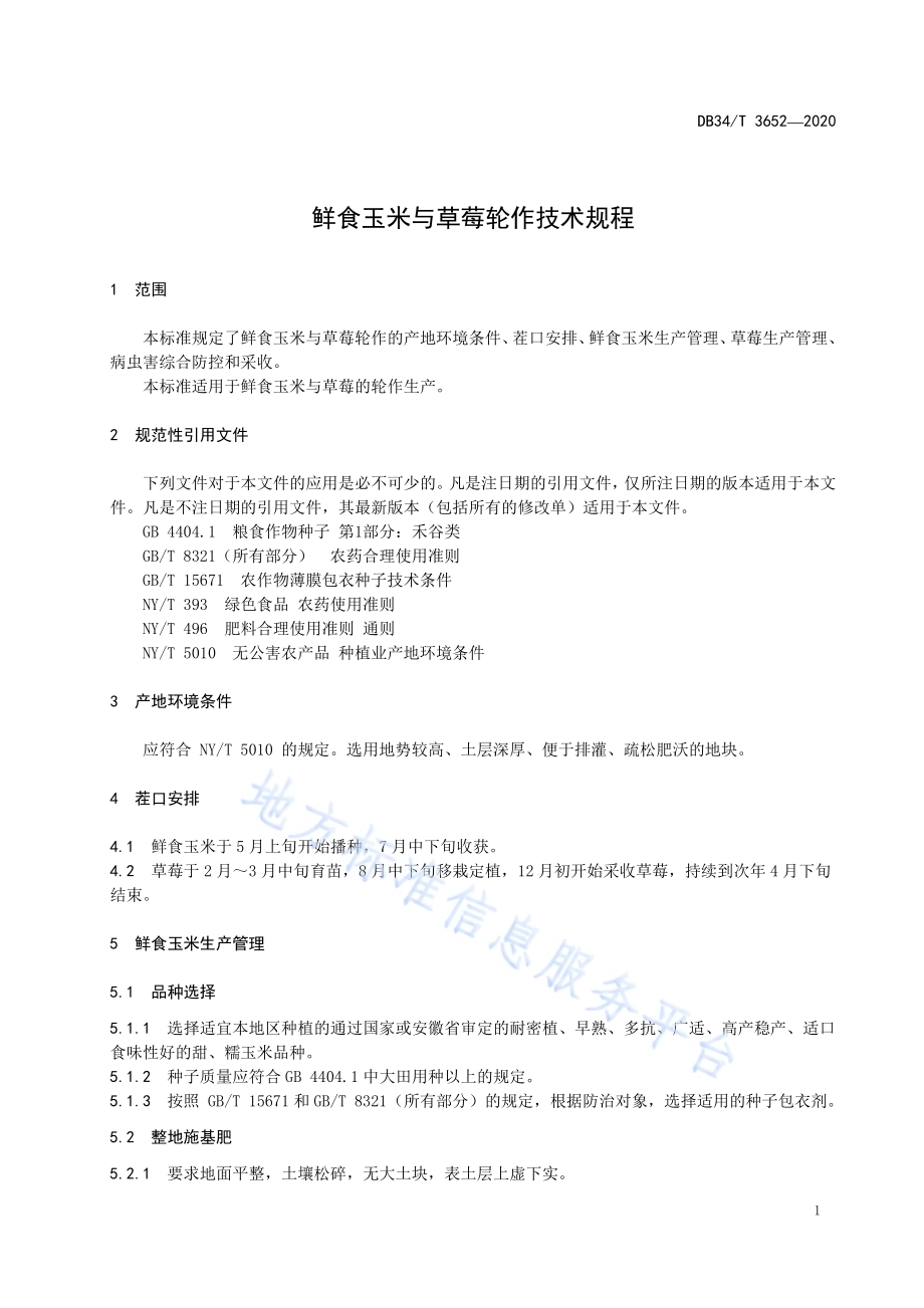 鲜食玉米与草莓轮作技术规程DB34／T 3652-2020.pdf_第5页