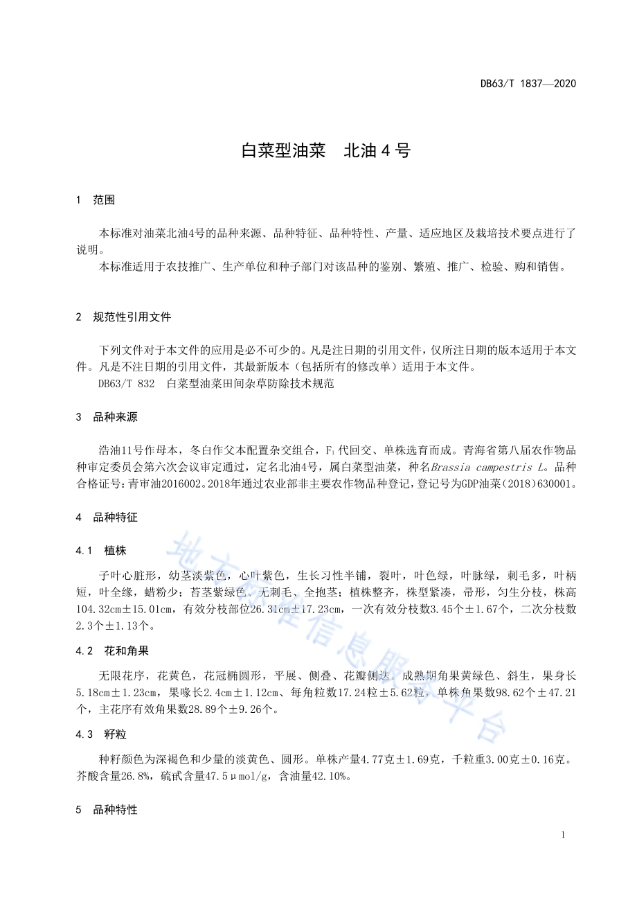 白菜型油菜 北油4号DB63／T 1837-2020.pdf_第3页