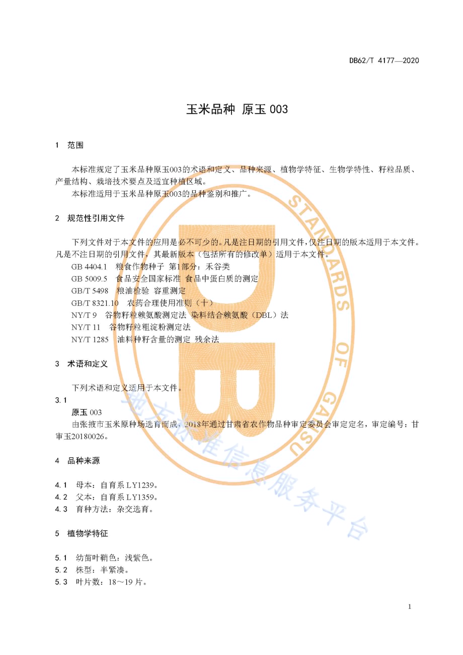 玉米品种 原玉003DB62／T 4177-2020.pdf_第5页
