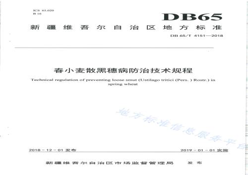 春小麦散黑穗病防治技术规程DB65／T 4151-2018.pdf