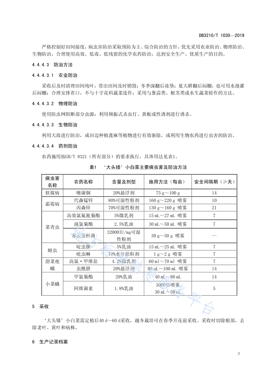 '大头矮'小白菜栽培技术规程DB3210／T 1030-2019.pdf_第5页