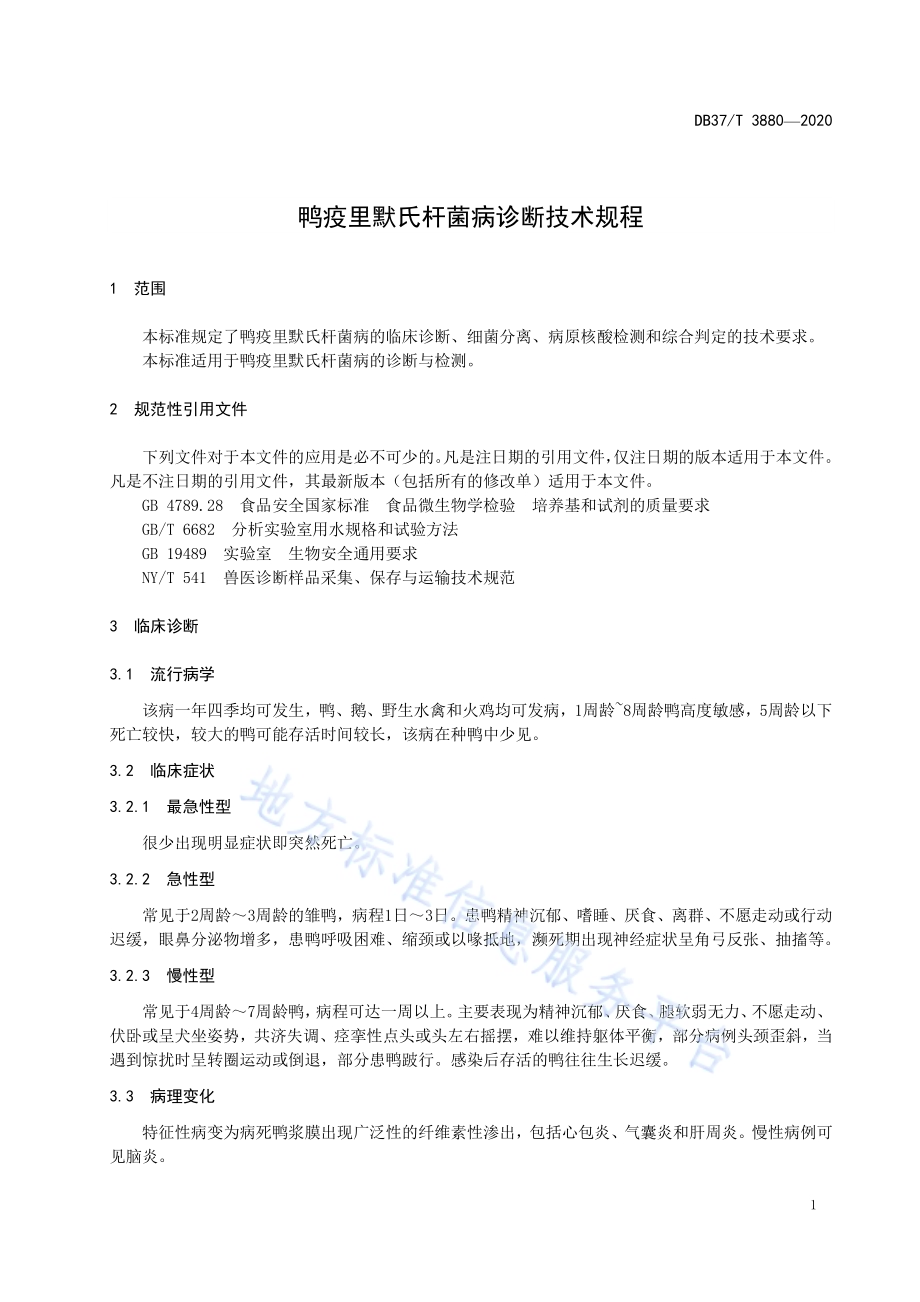 鸭疫里默氏杆菌病诊断技术规程DB37／T 3880—2020.pdf_第5页