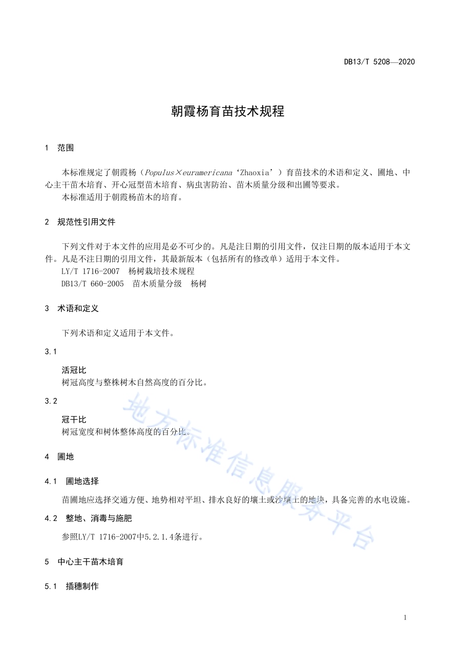 朝霞杨育苗技术规程DB13／T 5208-2020.pdf_第5页
