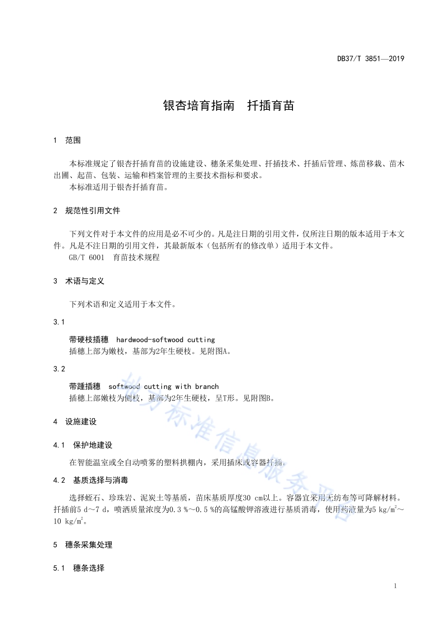银杏培育指南　扦插育苗DB37／T 3851—2019.pdf_第3页