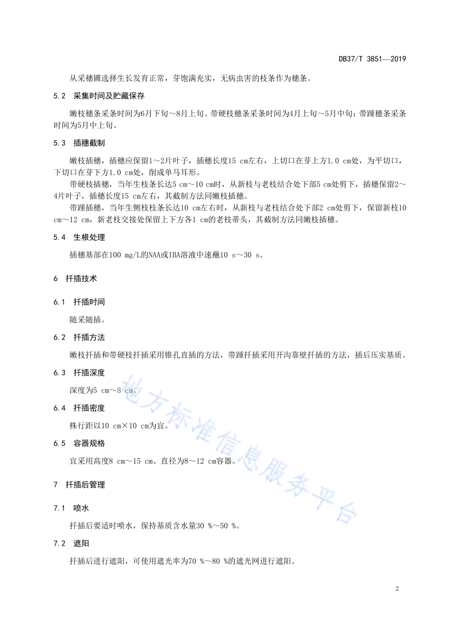 银杏培育指南　扦插育苗DB37／T 3851—2019.pdf_第4页