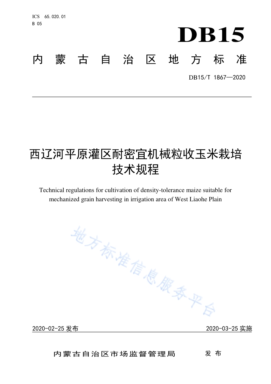 西辽河平原灌区耐密宜机械粒收玉米栽培技术规程DB15／T 1867—2020.pdf_第1页