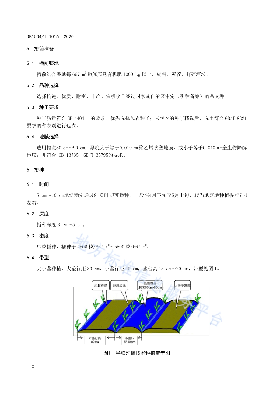 燕山丘陵区玉米半膜沟播集雨抗旱节水栽培技术规程DB 1504／T1016-2020.pdf_第4页