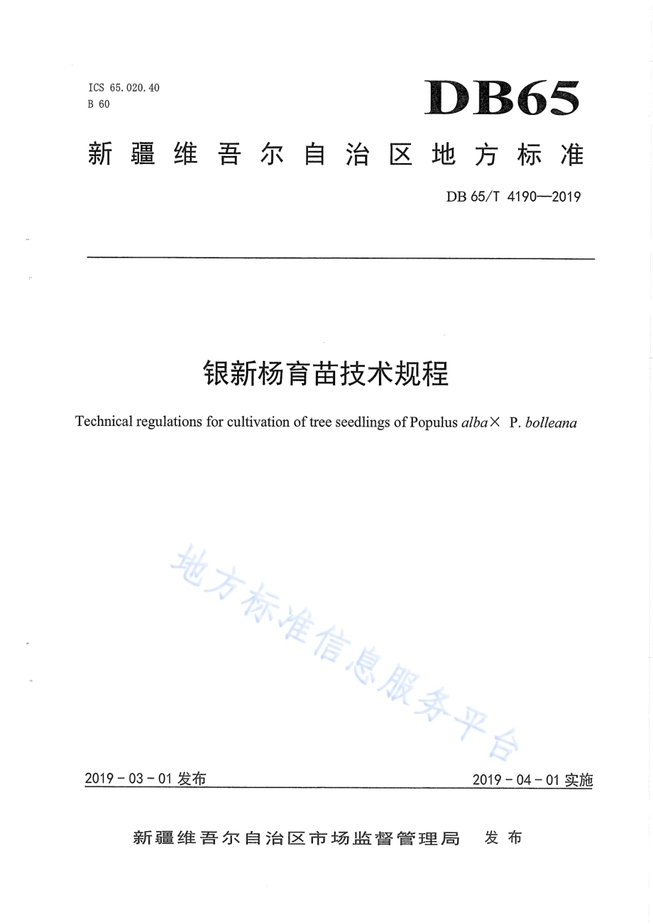 银新杨育苗技术规程DB65／T 4190-2019.pdf_第1页